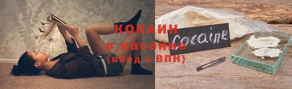 индика Семикаракорск