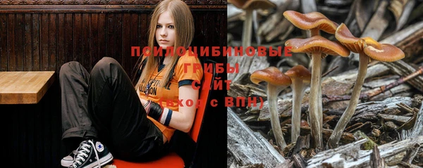 сатива Верхний Тагил